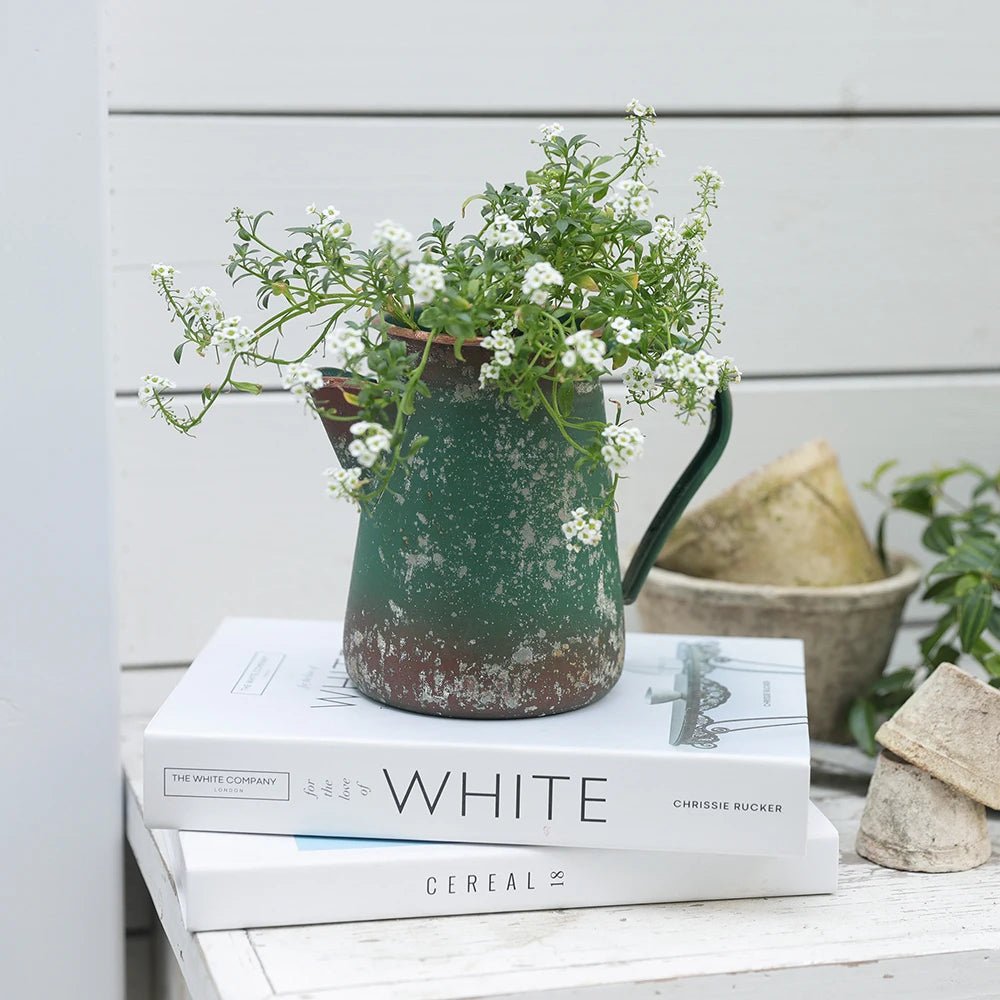 Arrosoir | VintageMint™ - SC Jardin