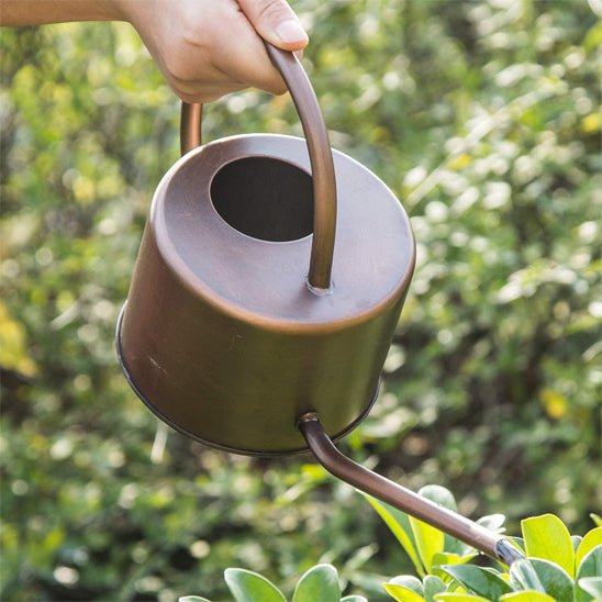 Arrosoir | WateringCanVintage™ - SC Jardin