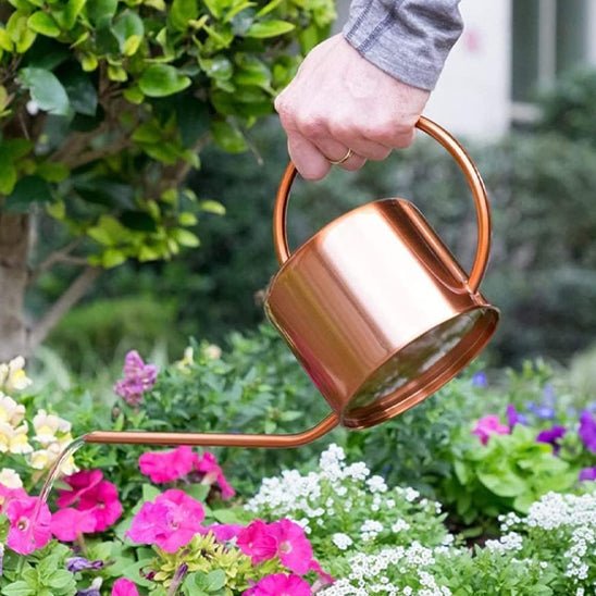 Arrosoir | WateringCanVintage™ - SC Jardin