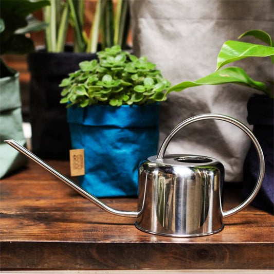 Arrosoir | WateringCanVintage™ - SC Jardin