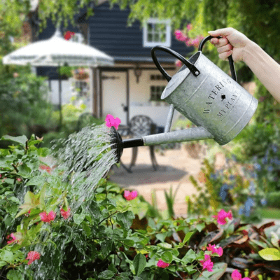 Arrosoir | WateringMyPlant™ - SC Jardin