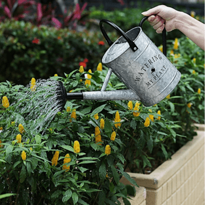 Arrosoir | WateringMyPlant™ - SC Jardin