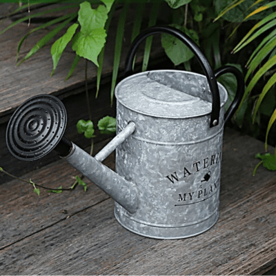 Arrosoir | WateringMyPlant™ - SC Jardin