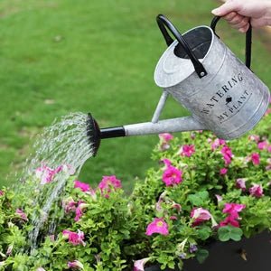 Arrosoir | WateringMyPlant™ - SC Jardin