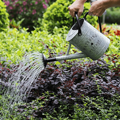 Arrosoir | WateringMyPlant™ - SC Jardin