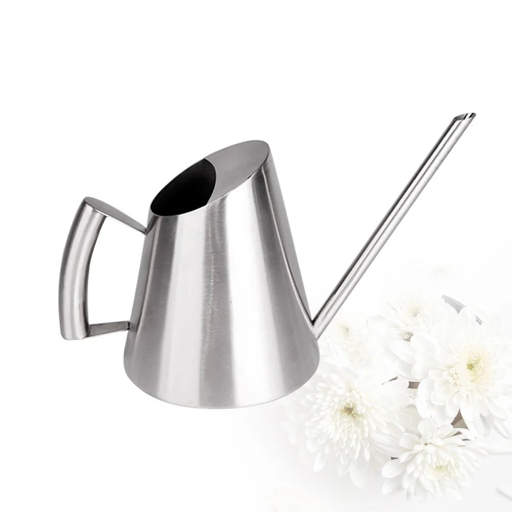 Bouilloire d'arrosage en acier inoxydable, 900ml (argent), outil de jardinage pour fleurs succulentes à longue bouche - SC Jardin