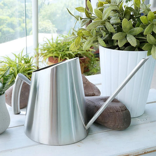 Bouilloire d'arrosage en acier inoxydable, 900ml (argent), outil de jardinage pour fleurs succulentes à longue bouche - SC Jardin