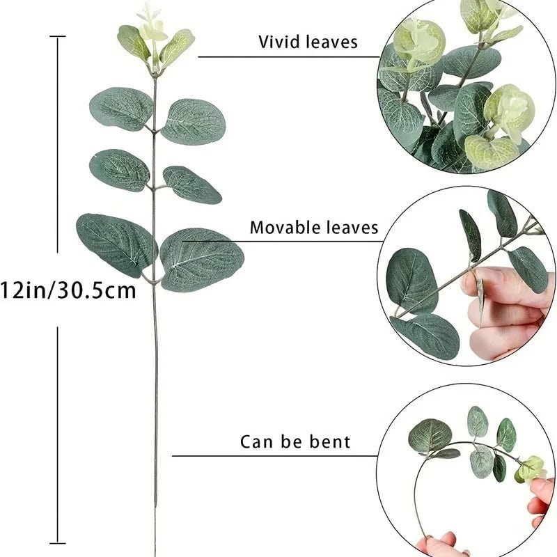 Bouquet Eucalyptus - SC Jardin
