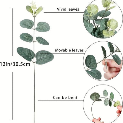 Bouquet Eucalyptus - SC Jardin