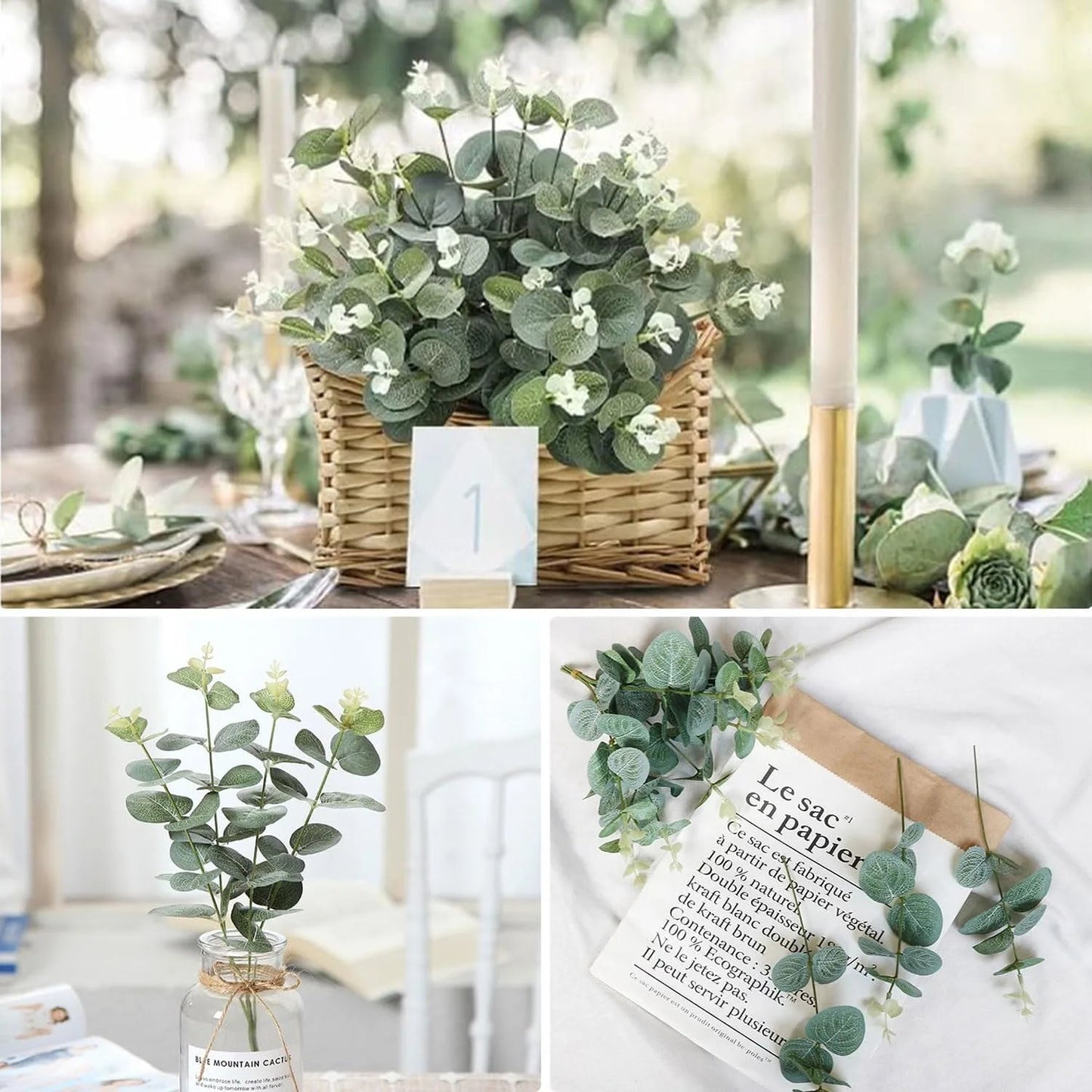 Bouquet Eucalyptus - SC Jardin