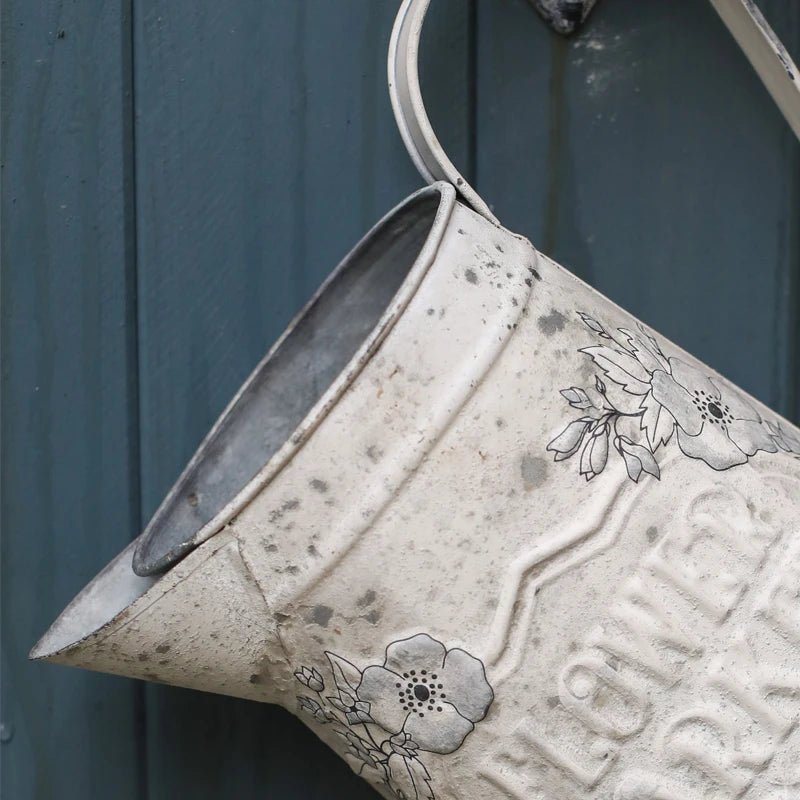 Broc d'eau | FlowerMarket™ - SC Jardin