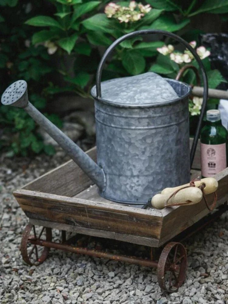Brouette | MiniMaryWheelBarrow™ - SC Jardin