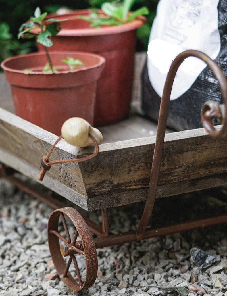 Brouette | MiniMaryWheelBarrow™ - SC Jardin