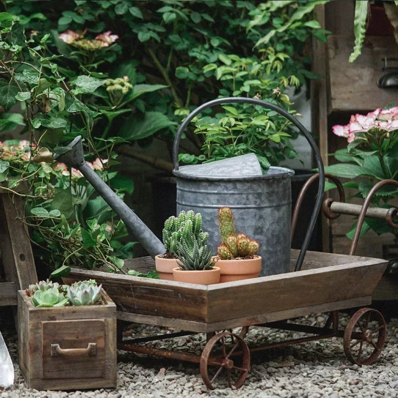 Brouette | MiniMaryWheelBarrow™ - SC Jardin