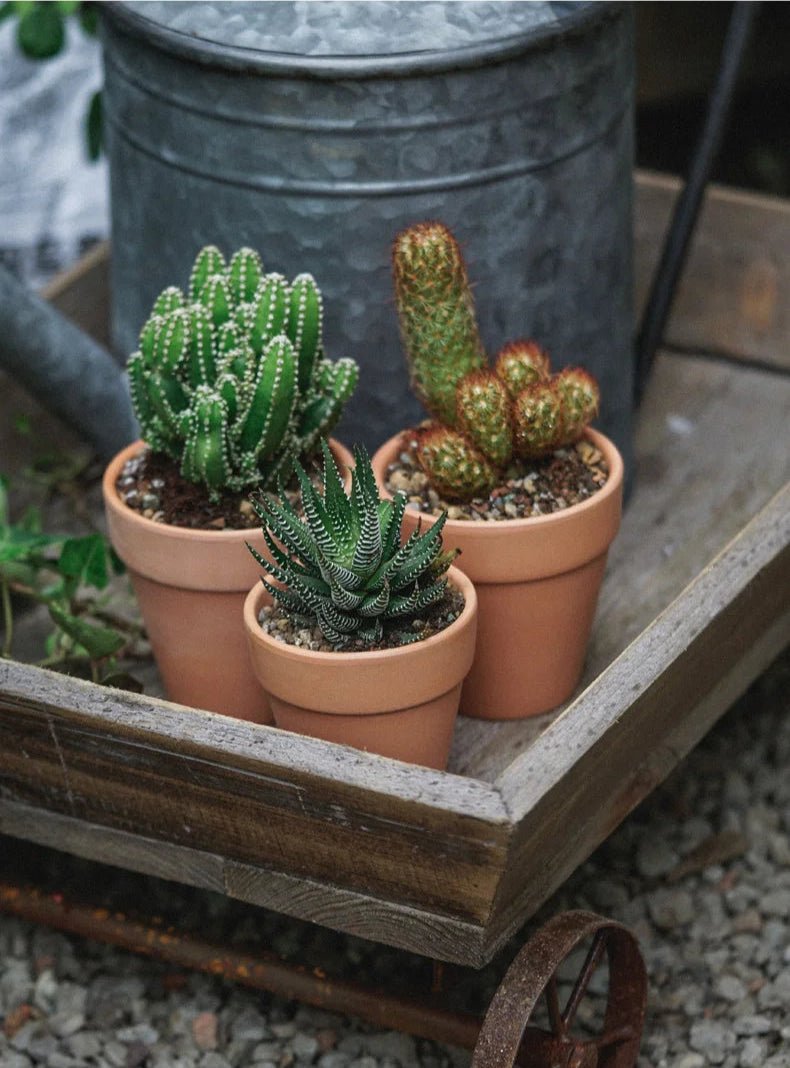 Brouette | MiniMaryWheelBarrow™ - SC Jardin