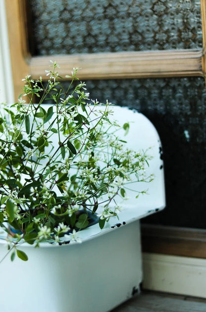 Cache pot de fleur | IronSink™ - SC Jardin