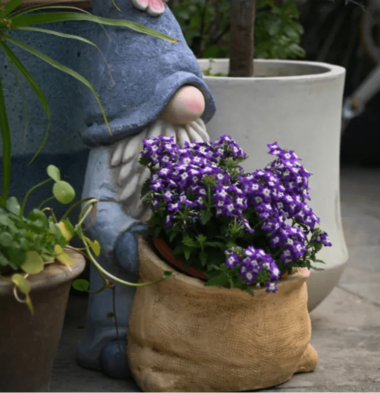 Cache - pot | DoranElfy™ - SC Jardin