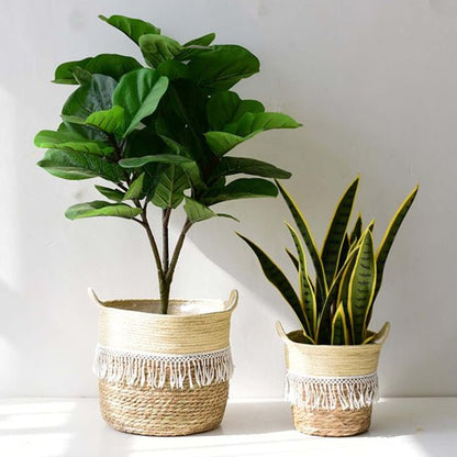 Cache pot en osier | EdwinWickerPot™ - SC Jardin