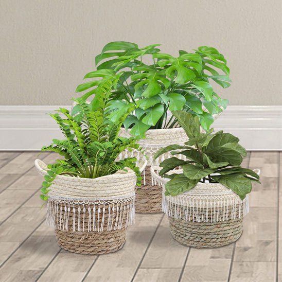 Cache pot en osier | EdwinWickerPot™ - SC Jardin