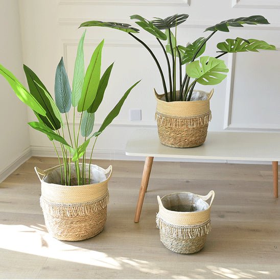 Cache pot en osier | EdwinWickerPot™ - SC Jardin