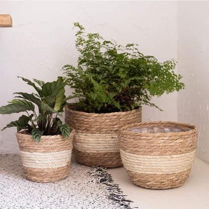 Cache pot en osier | FouadWickerPot™ - SC Jardin