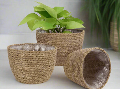 Cache pot en osier | MayaWickerPot™ - SC Jardin