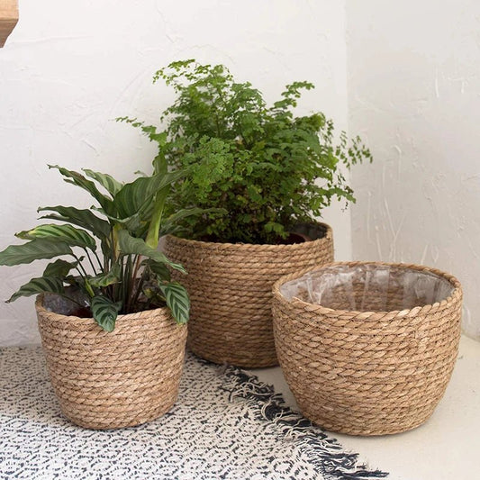 Cache pot en osier | MayaWickerPot™ - SC Jardin