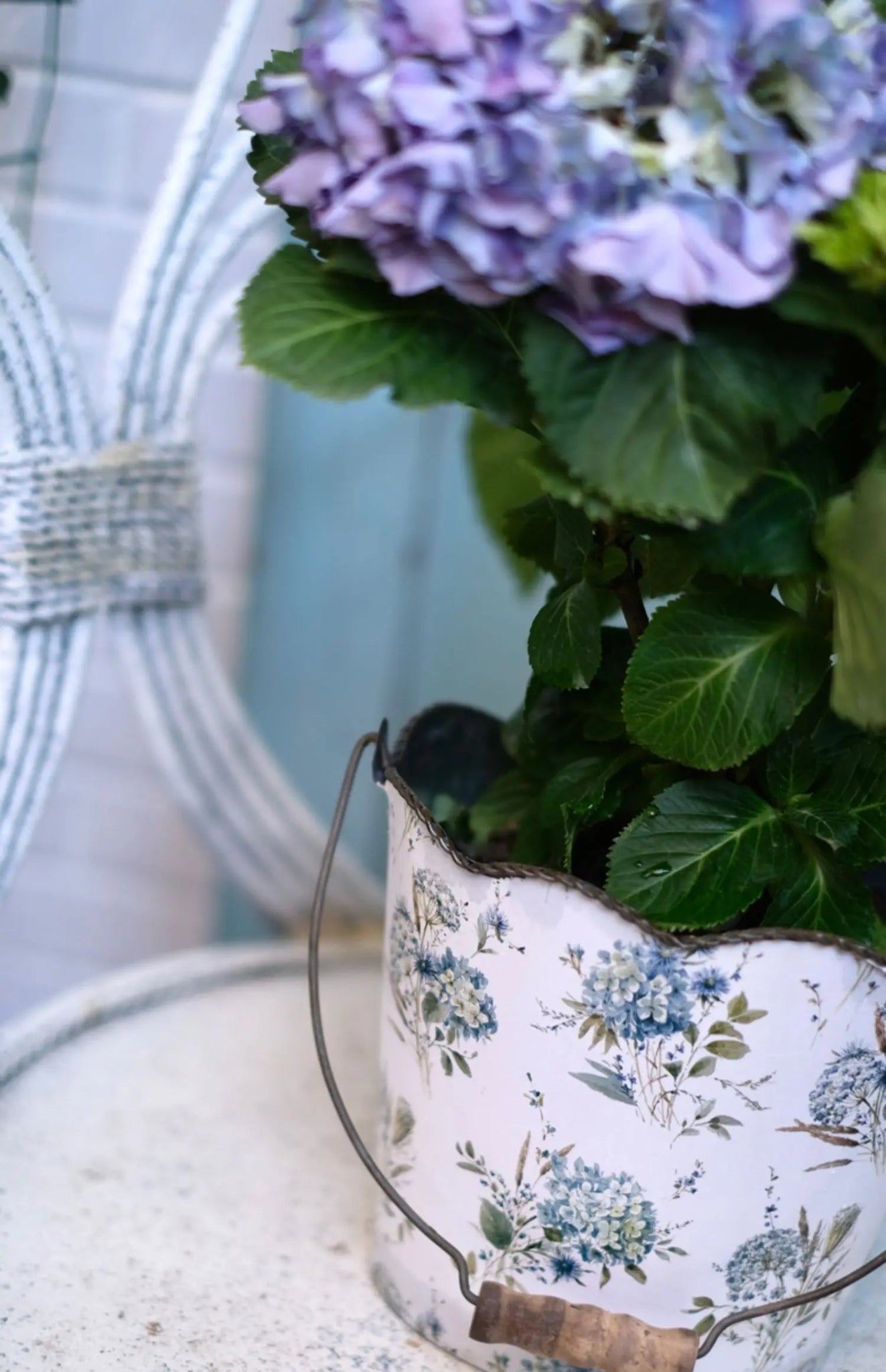 Cache - pot | Hortensia™ - SC Jardin