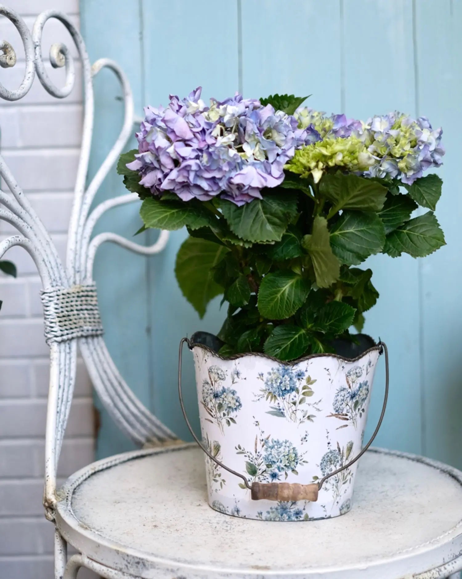 Cache - pot | Hortensia™ - SC Jardin