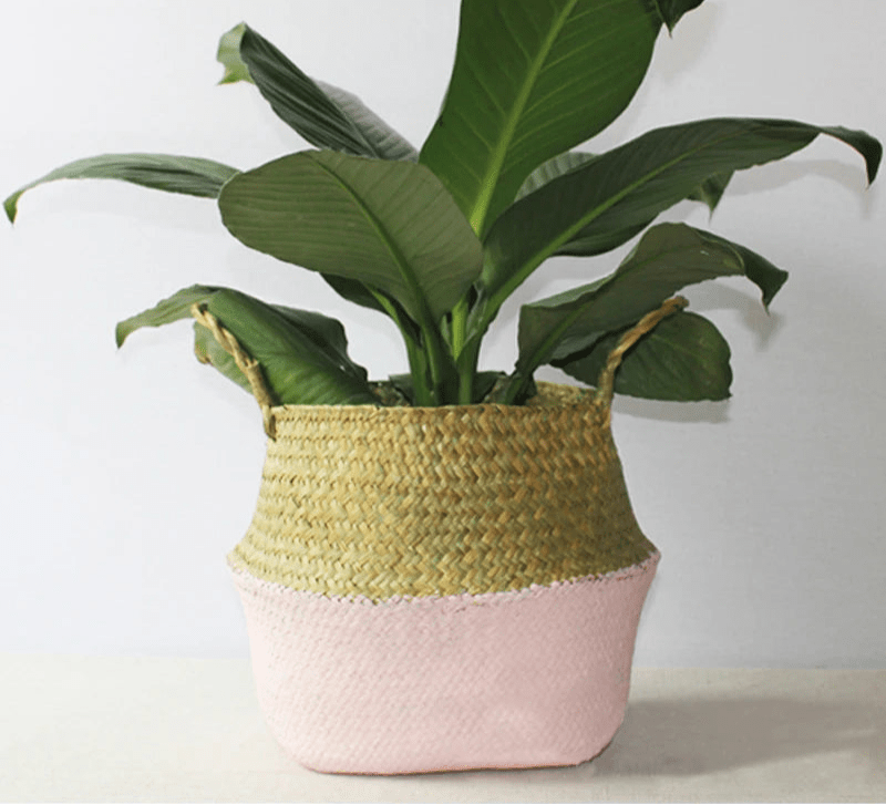 Cache - pot | WickerPlanter™ - SC Jardin