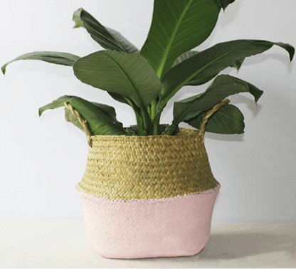 Cache - pot | WickerPlanter™ - SC Jardin