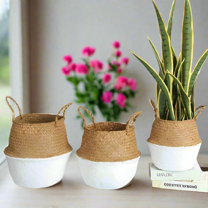 Cache - pot | WickerPlanter™ - SC Jardin