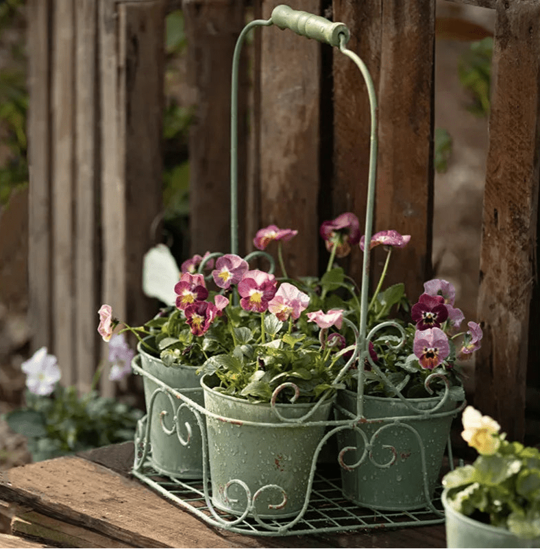 Cache - pots | MaggieFlowerpot™ - SC Jardin