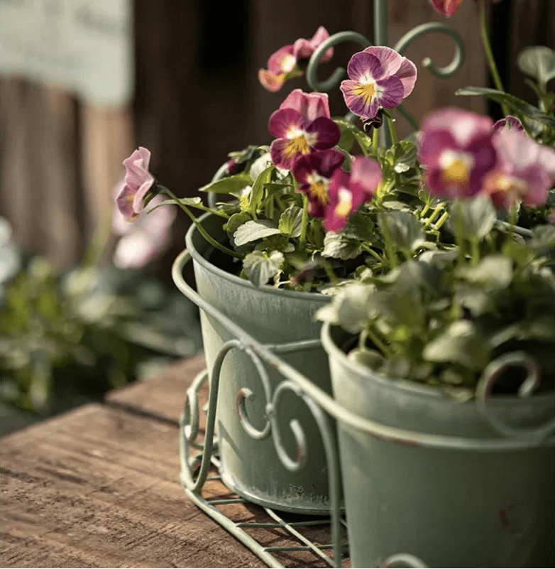 Cache - pots | MaggieFlowerpot™ - SC Jardin