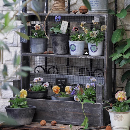 Étagère à plantes | AlisonShelf™ - SC Jardin