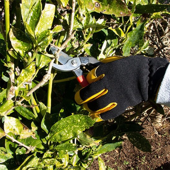Gants de jardinage | DuaneGloves™ - SC Jardin