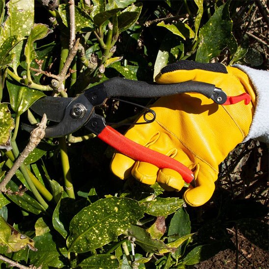 Gants de jardinage | DuaneGloves™ - SC Jardin