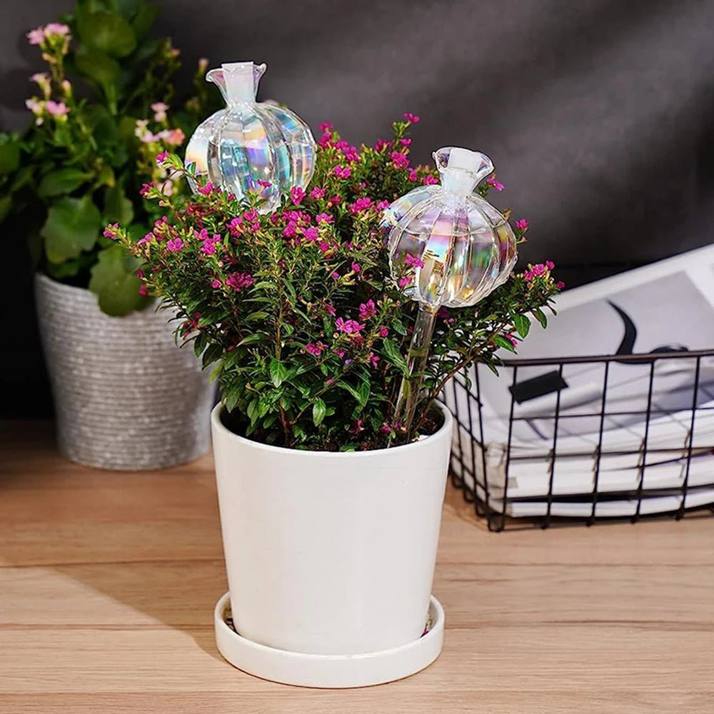 Goutte à goutte | FleursdeGrenade - SC Jardin