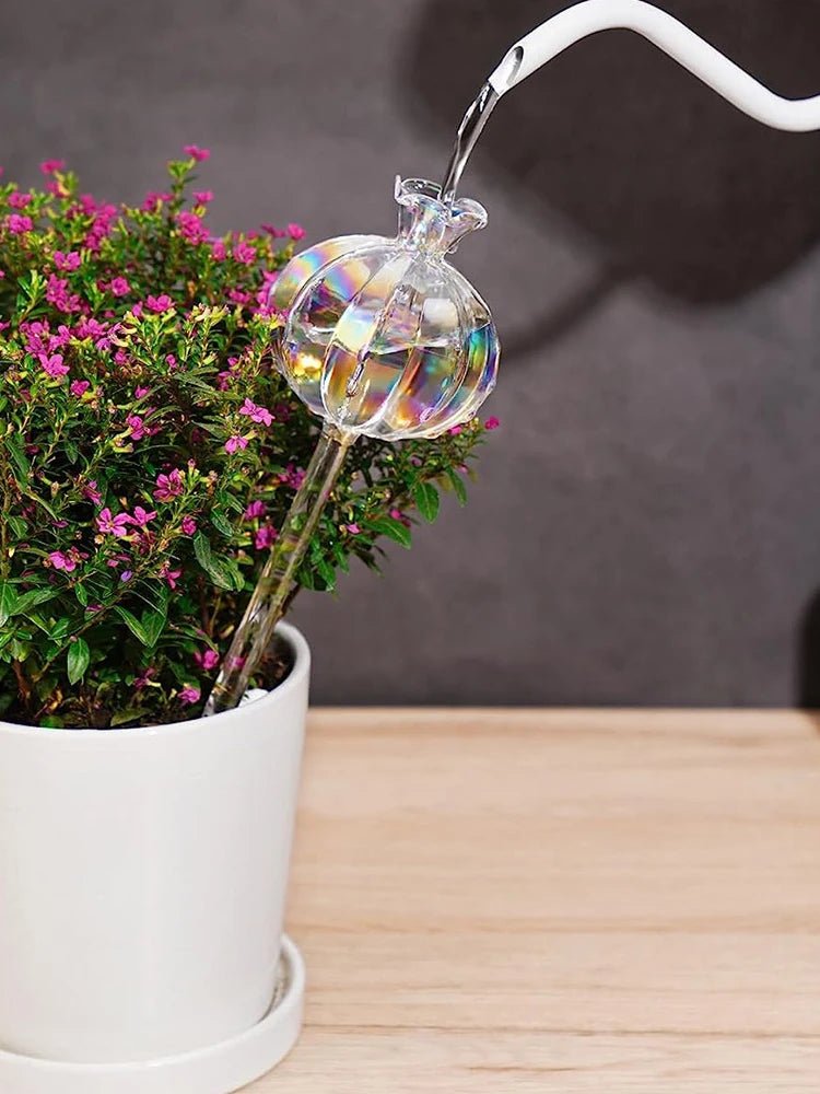 Goutte à goutte | FleursdeGrenade - SC Jardin