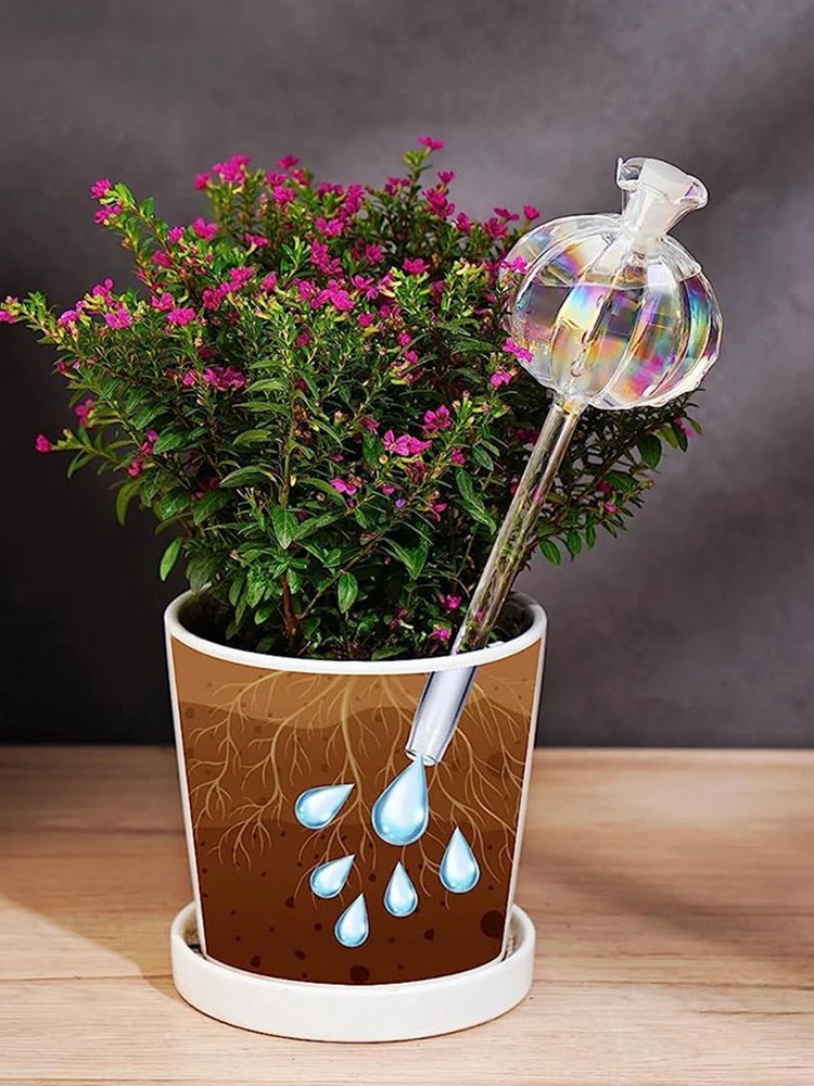 Goutte à goutte | FleursdeGrenade - SC Jardin