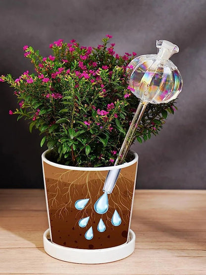 Goutte à goutte | FleursdeGrenade - SC Jardin