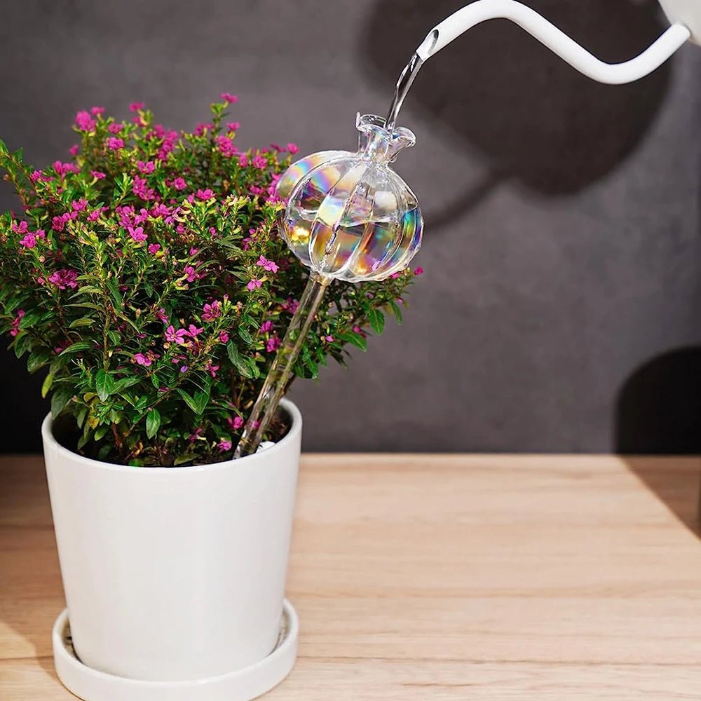 Goutte à goutte | FleursdeGrenade - SC Jardin