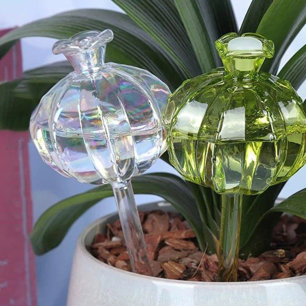 Goutte à goutte | FleursdeGrenade - SC Jardin