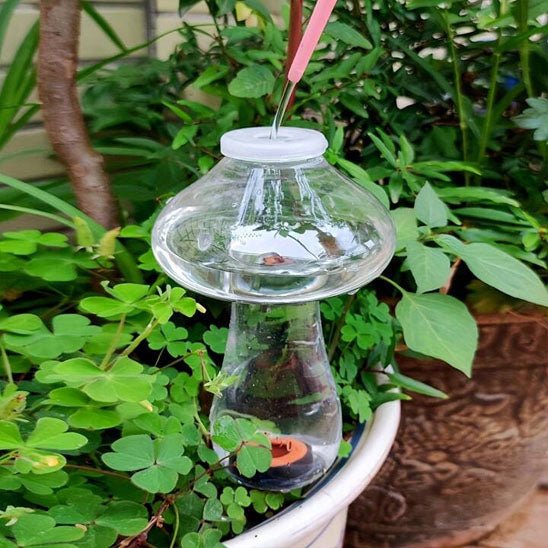 Goutte à goutte | Lucas™ - SC Jardin