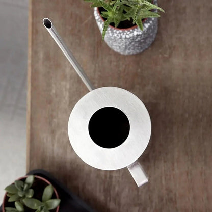 Petit arrosoir en métal pour plantes d'intérieur, arrosoir à long cou pour plantes d'intérieur, arrosage des fleurs, 1.5 L - SC Jardin