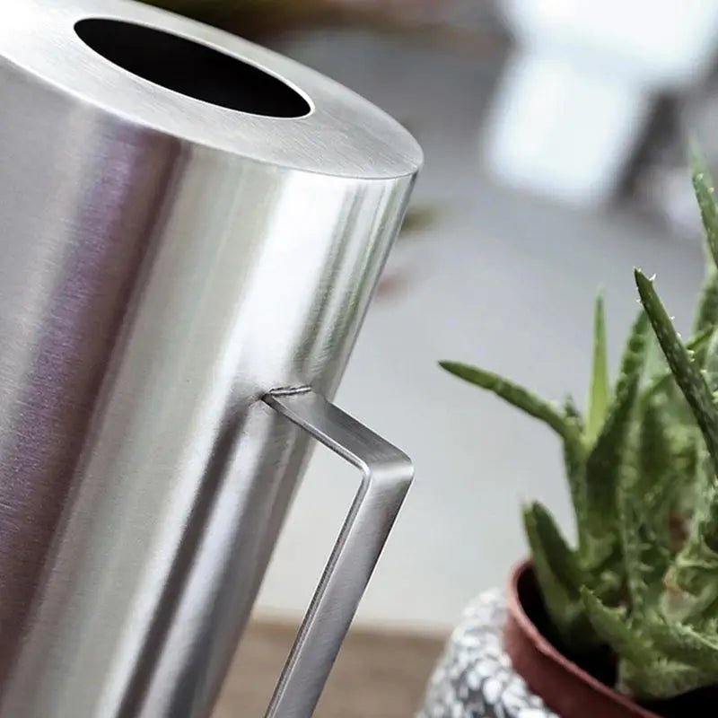 Petit arrosoir en métal pour plantes d'intérieur, arrosoir à long cou pour plantes d'intérieur, arrosage des fleurs, 1.5 L - SC Jardin