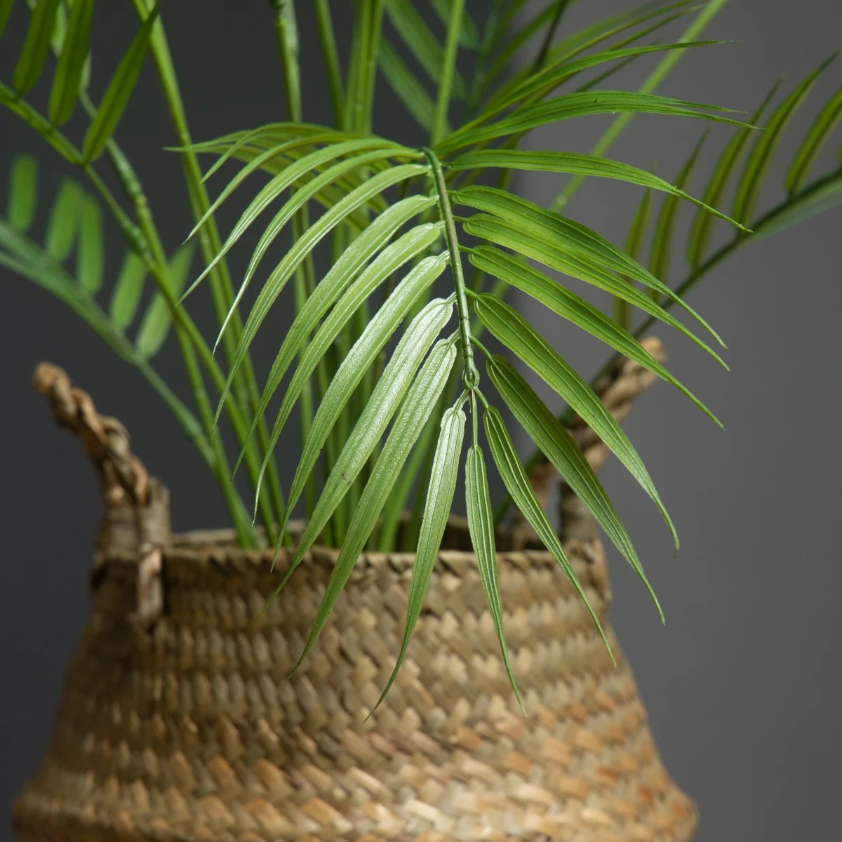 Plante Artificielle | AydenPlasticTree™ - SC Jardin
