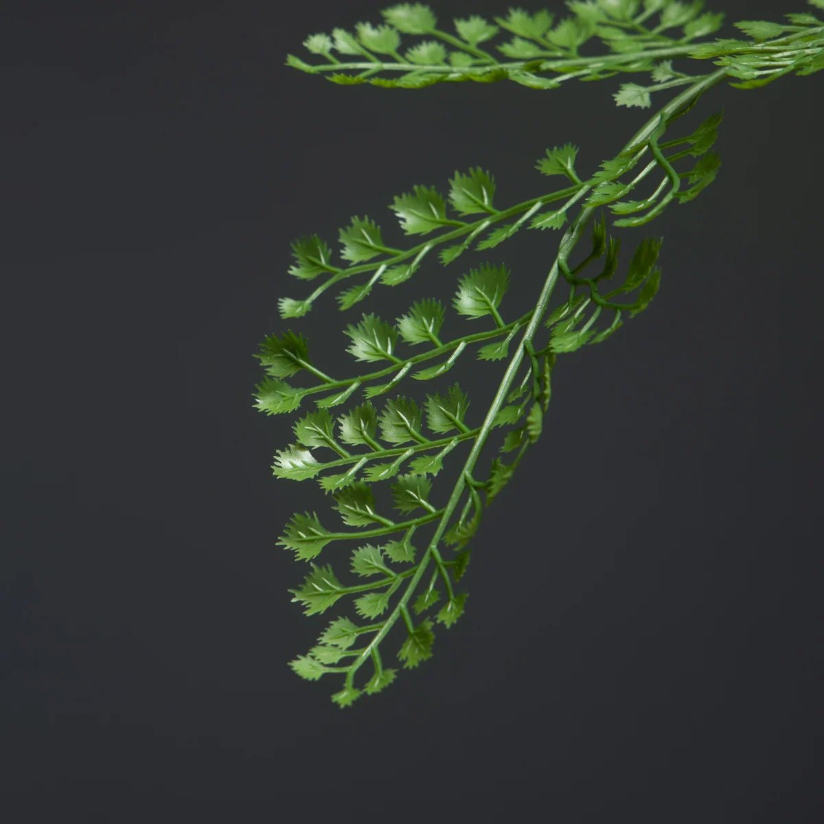 Plante Artificielle | AydenPlasticTree™ - SC Jardin