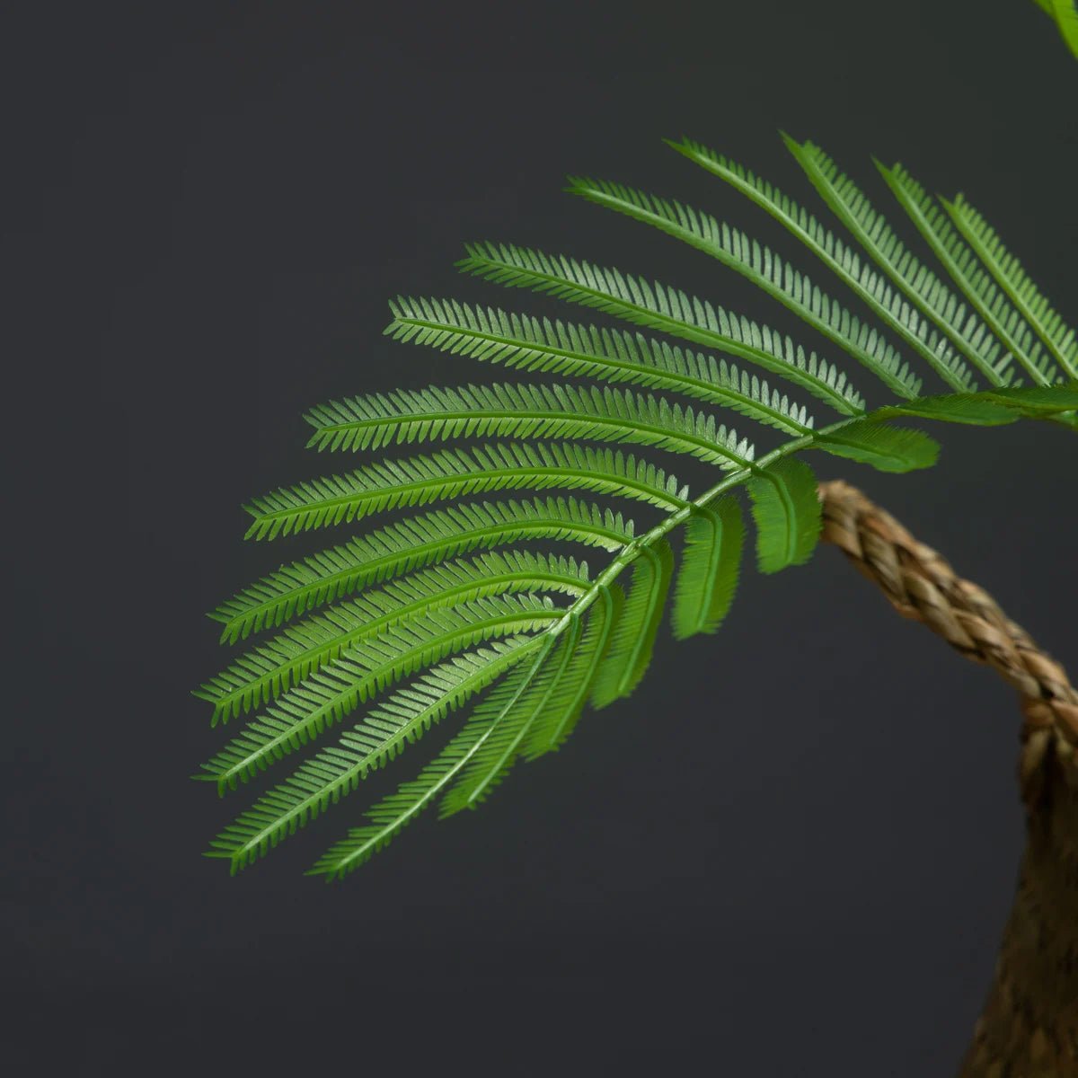 Plante Artificielle | AydenPlasticTree™ - SC Jardin