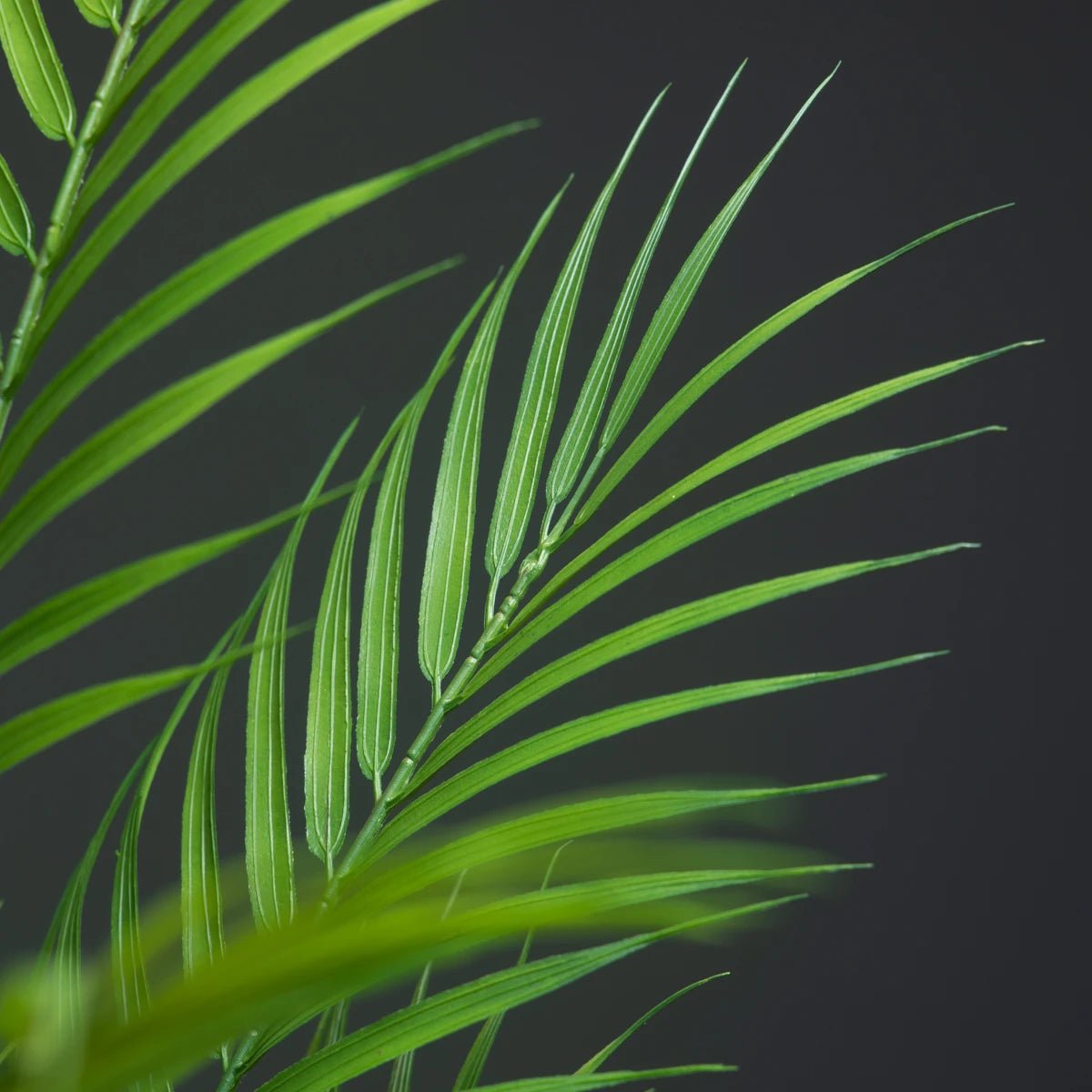 Plante Artificielle | AydenPlasticTree™ - SC Jardin